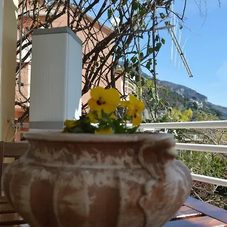 Casa *
